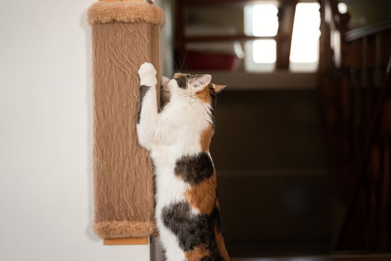 Not Providing Enough Scratching Surfaces