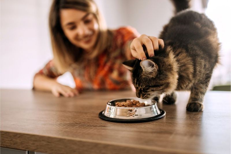 Observe Dietary Habits