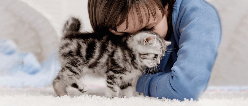 Offer Gentle Head Scratches