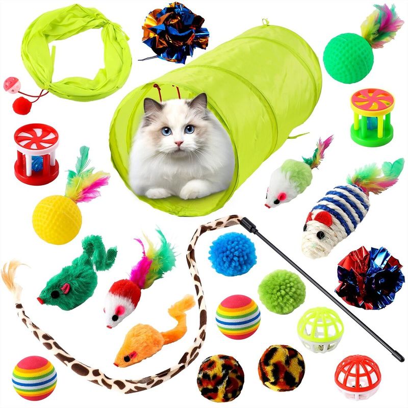 Offer a Variety of Toys