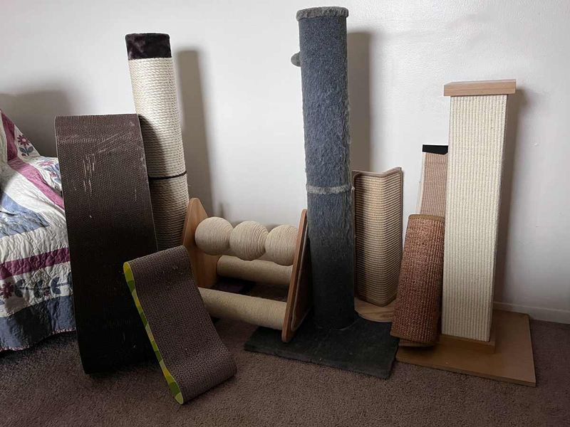 One Scratching Post Is Enough