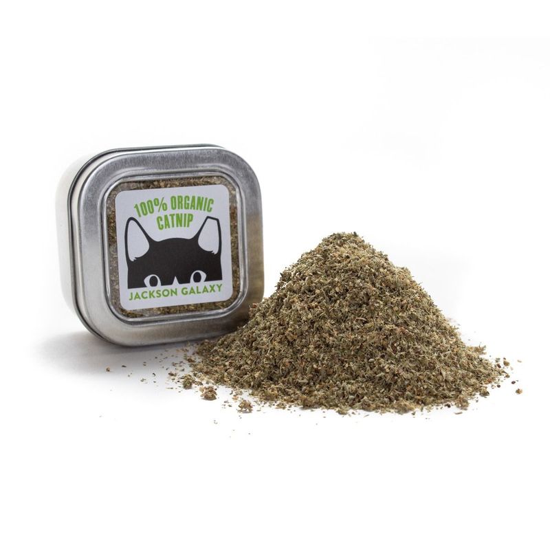 Organic Catnip