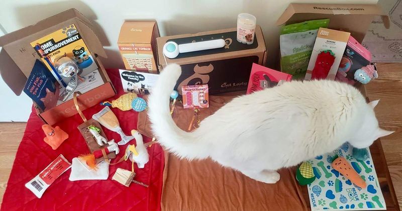 Overindulging in Non-Essential Items