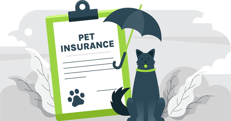 Overlooking Pet Insurance