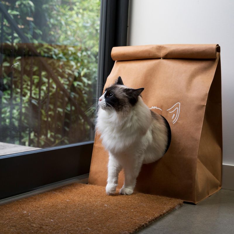 Paper Bag Hideout