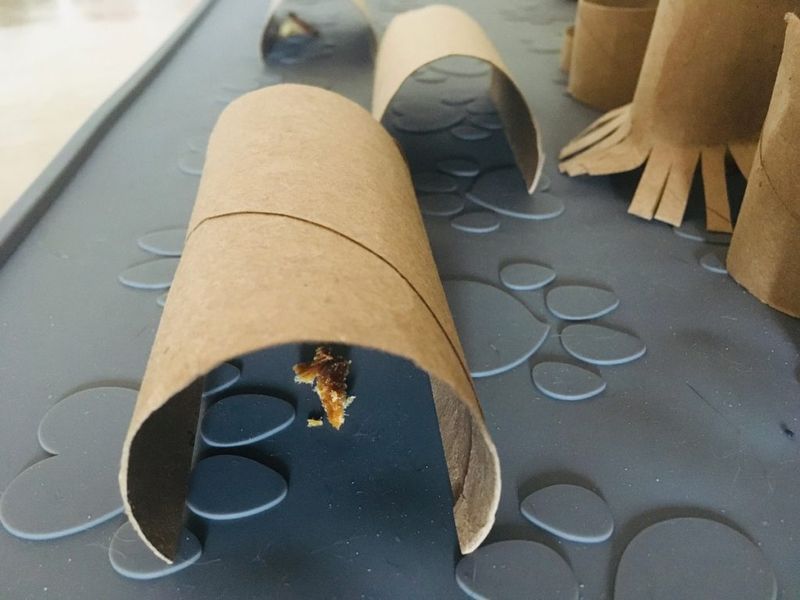 Paper Towel Roll Tunnel