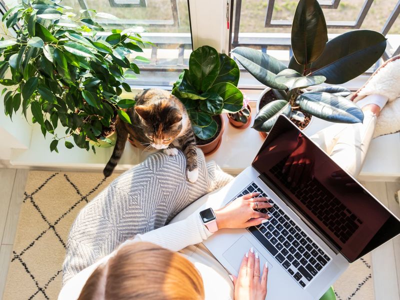 Perfect for Remote Workers