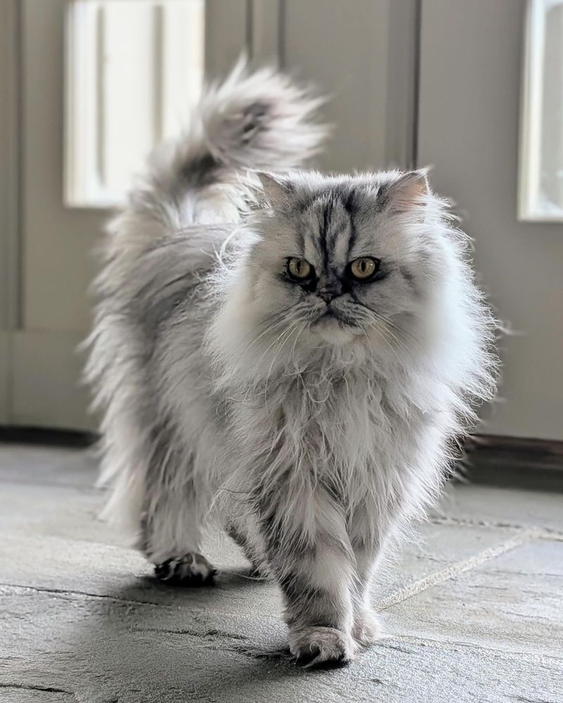 Persian