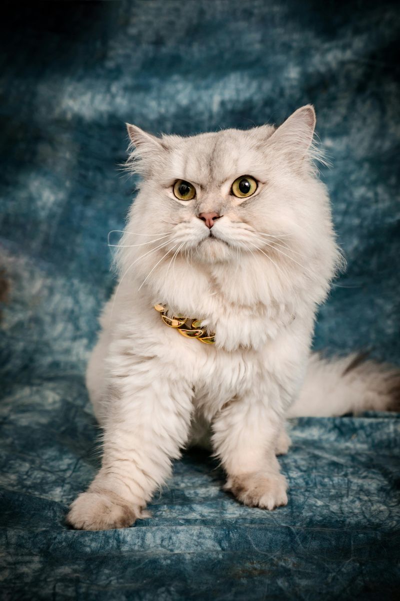 Persian