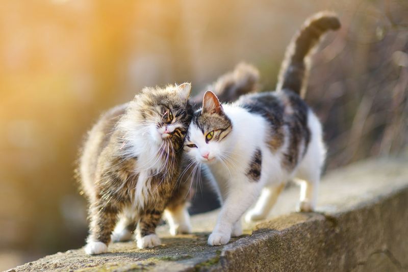 Personality and Sociability