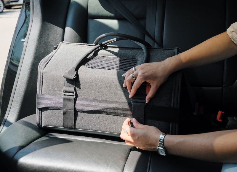 Pet Carrier with Seatbelt