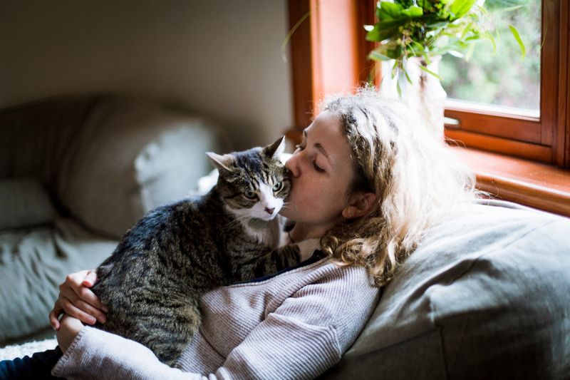 Physical Touch Without Judgment