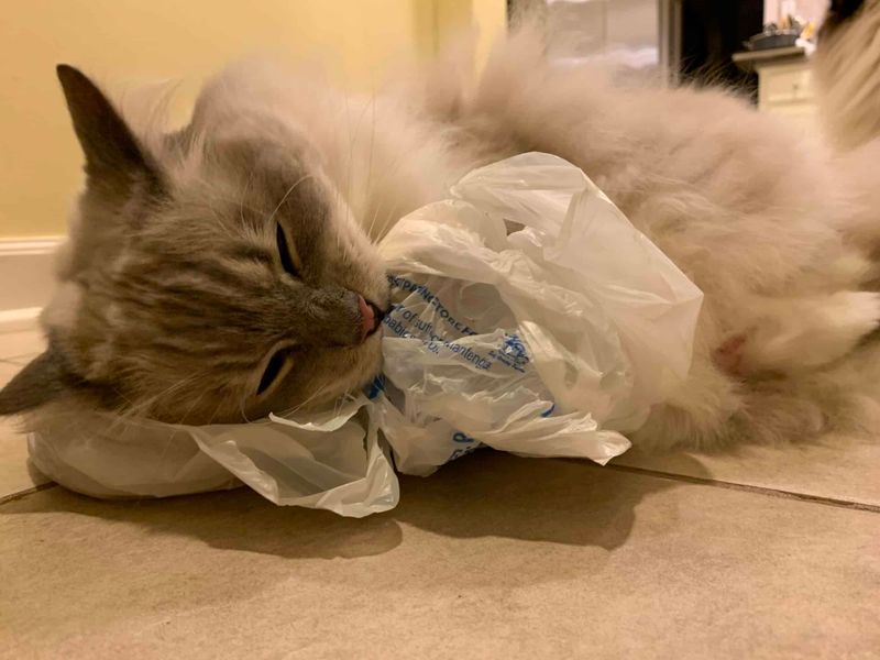 Plastic Bags Rustling
