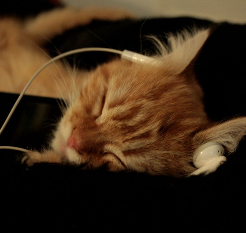 Play Soft Classical Music