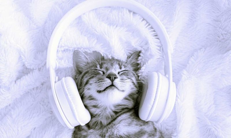 Play Soothing Music