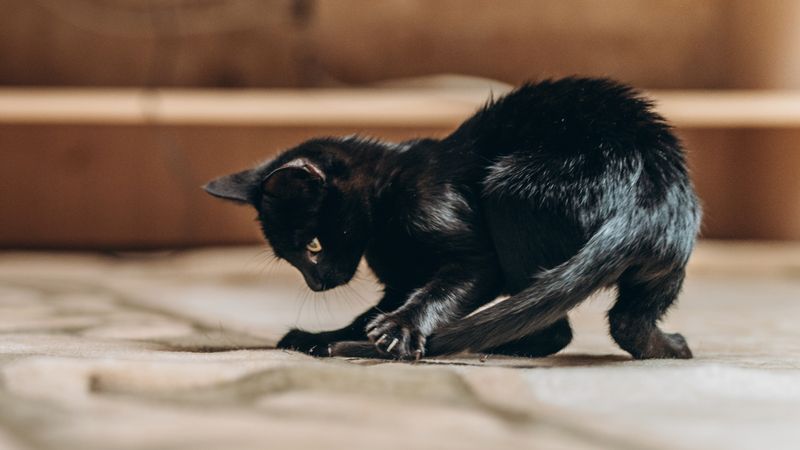 Playtime Vulnerability