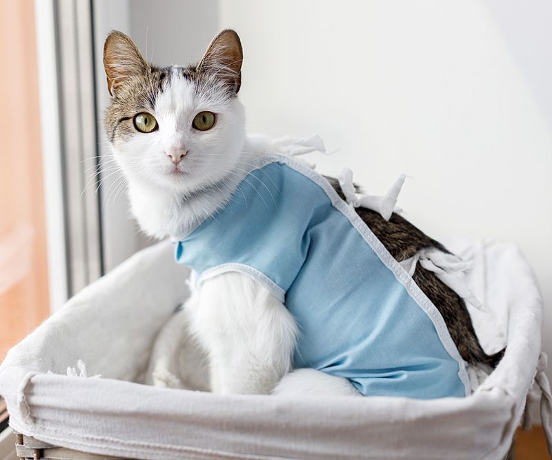 Post-Surgical Care