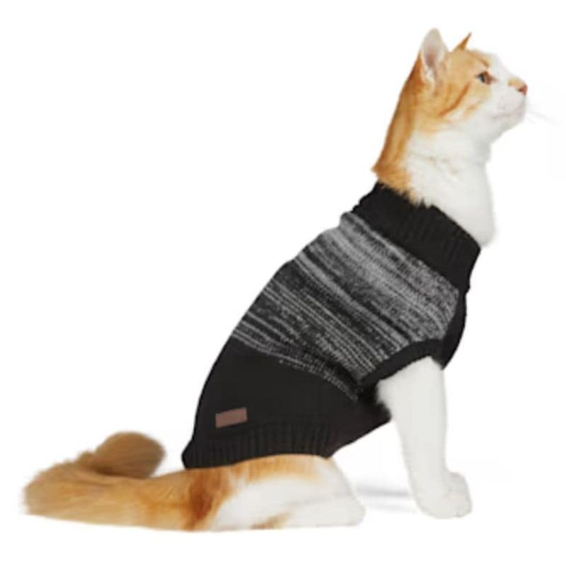 Promoting Eco-Friendly Pet Fashion
