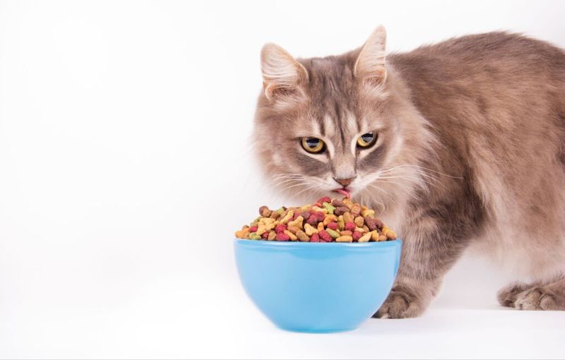 Proper Nutrition