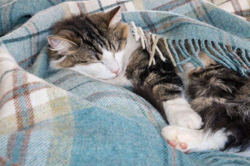 Proper Sleep Patterns