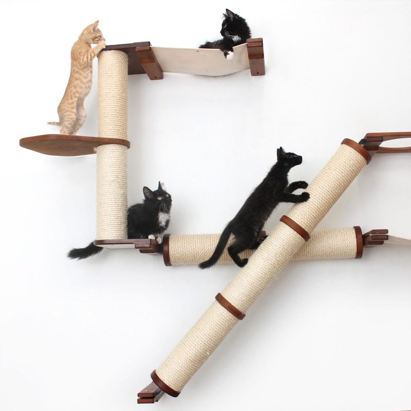 Provide Environmental Enrichment