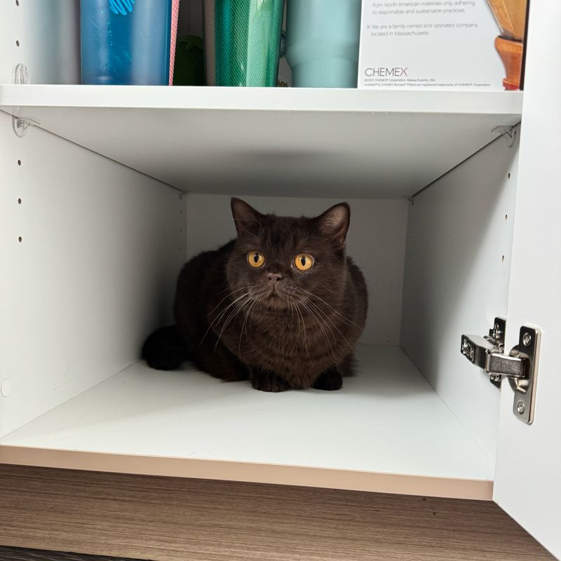 Provide Extra Hiding Spots