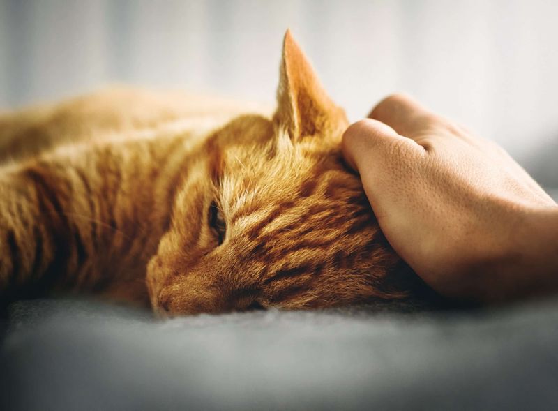 Provide Gentle Physical Comfort