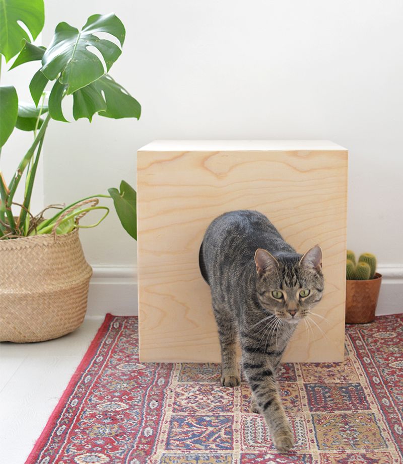 Provide Hiding Spots
