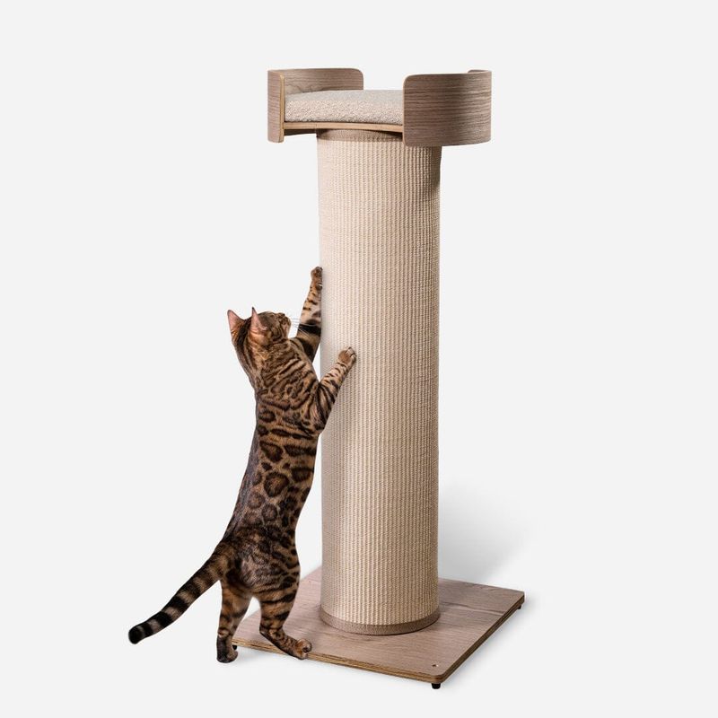 Provide Scratching Posts