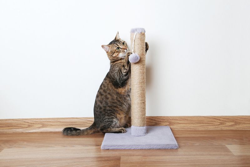 Punishing Natural Behaviors
