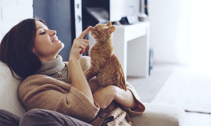 Purpose and Routine with Cats