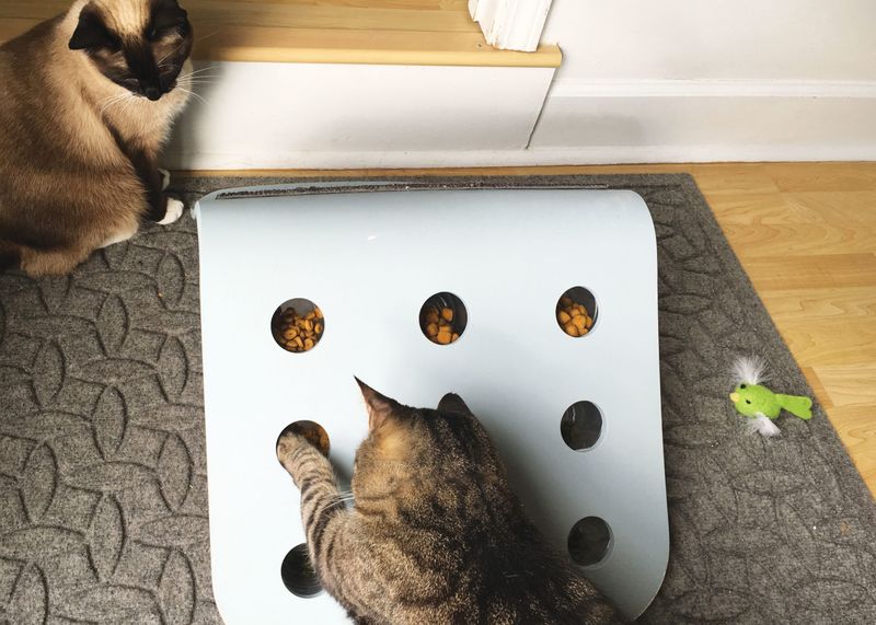 Puzzle Feeder