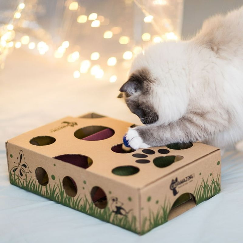 Puzzle Feeders Instead of Bowls