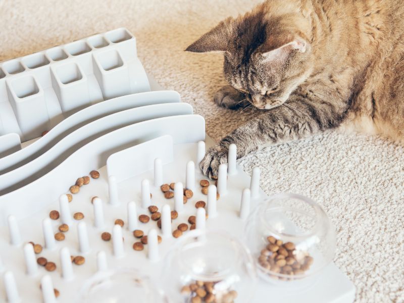 Puzzle Feeders