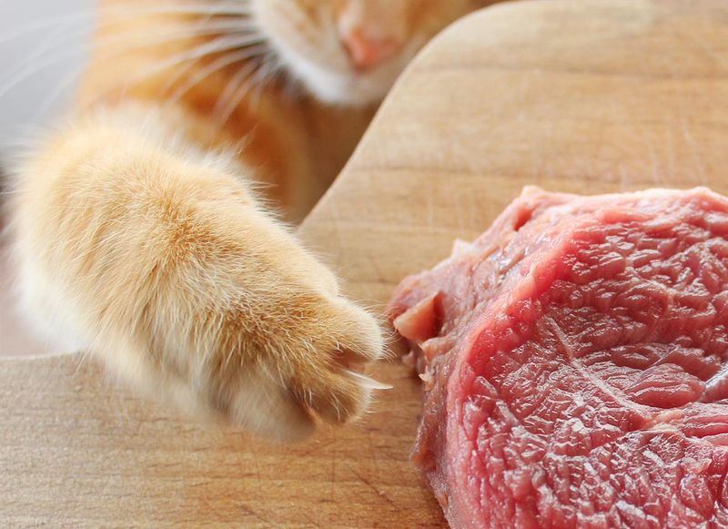 Raw Pork: Parasite Playground