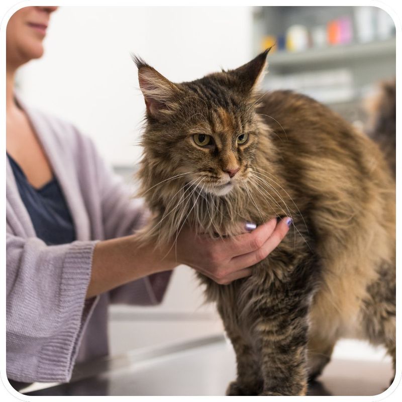 Reason Not to Welcome: Health Concerns