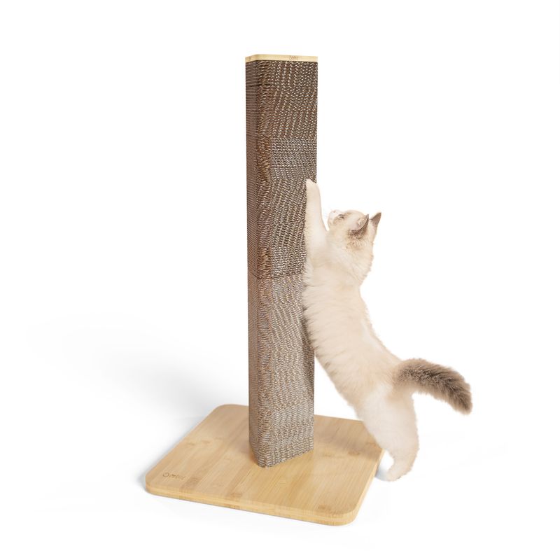Recycled Cardboard Scratching Post