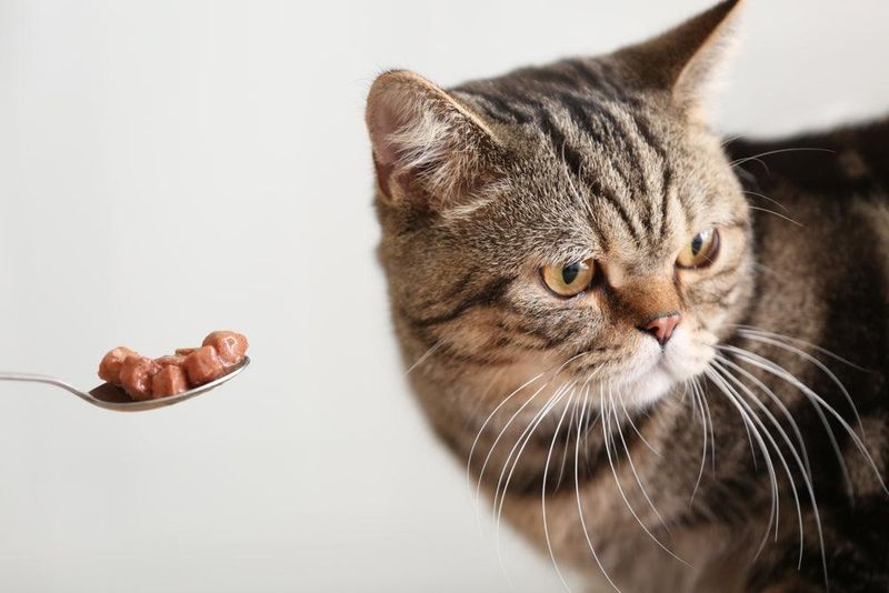 Refusing Favorite Treats