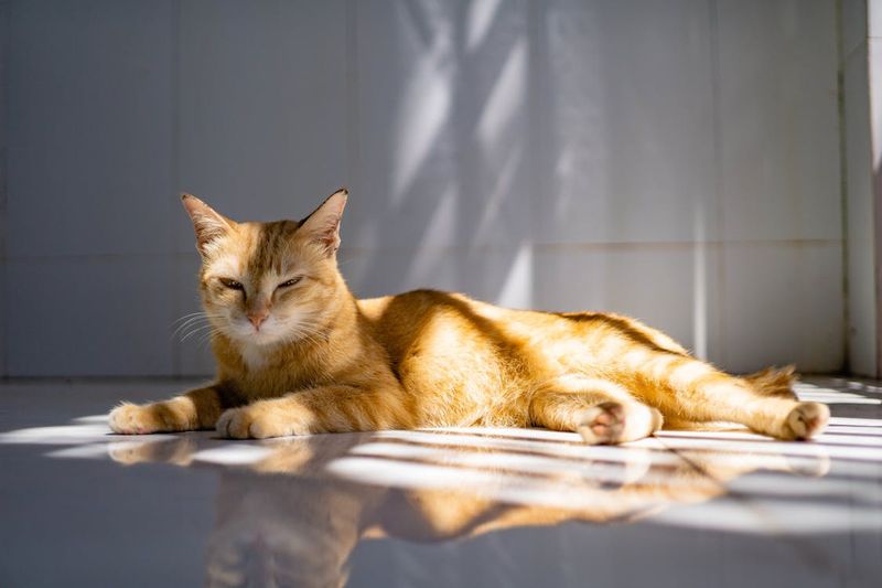 Relaxation as an Art