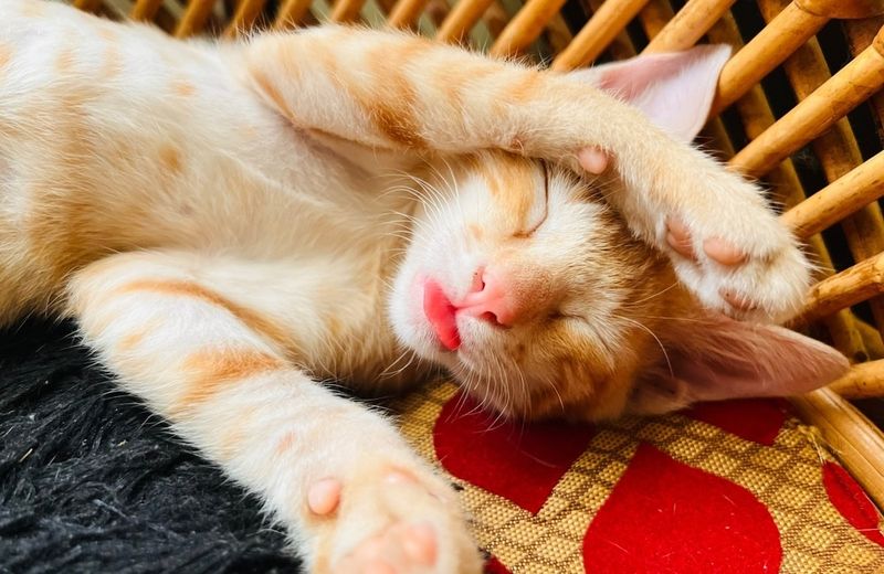 Relaxed Mouth Breathing