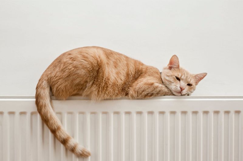 Relaxed Tail Positions