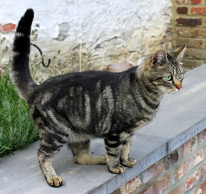Relaxed Tail Positions