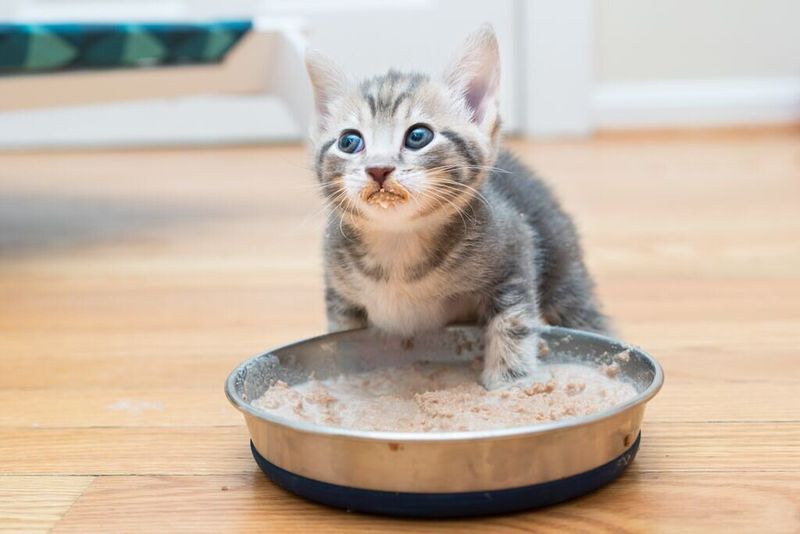 Reluctance to Eat Solid Foods