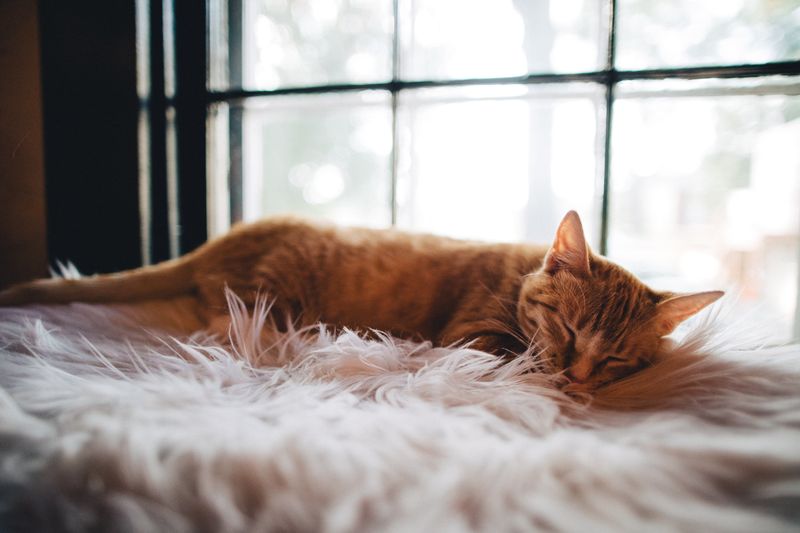 Respecting Sleep and Rest Needs