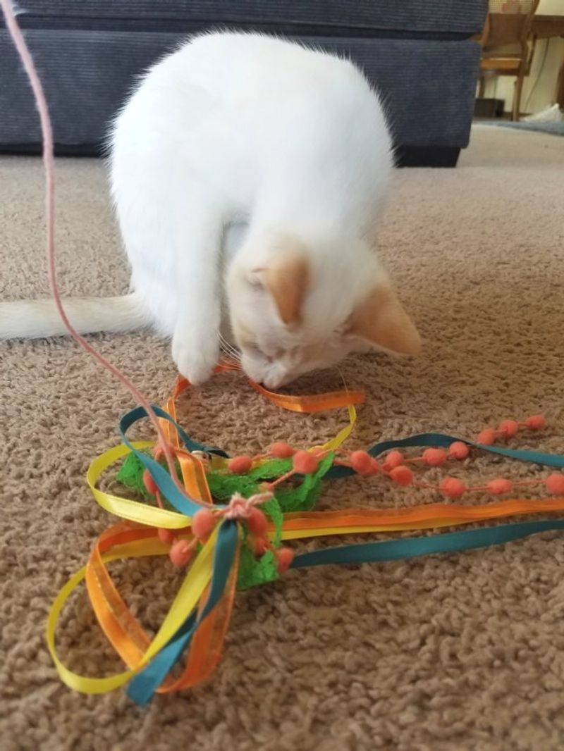 Ribbon Chase