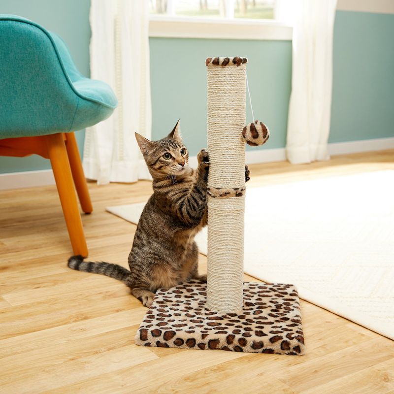 Scratch-Friendly Surfaces