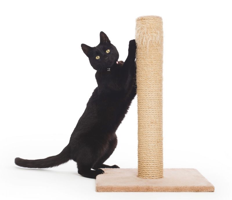 Scratching On Appropriate Surfaces