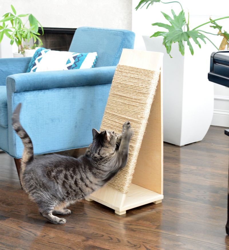 Scratching Post