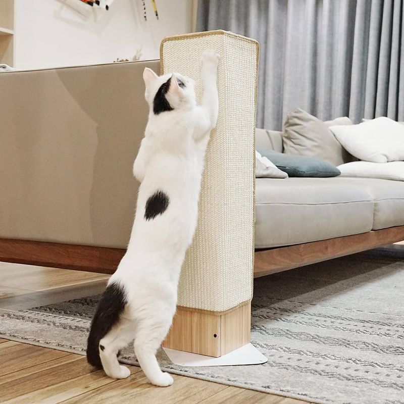 Scratching Posts in Strategic Locations