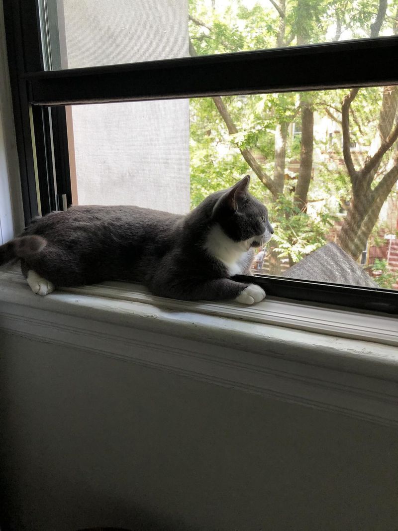 Seeking High Vantage Points